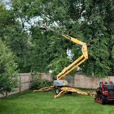 Best Storm Damage Tree Cleanup  in Tunkhannock, PA