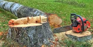 Best Arborist Consultation Services  in Tunkhannock, PA