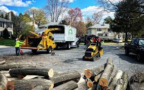 Best Pest Control for Lawns  in Tunkhannock, PA