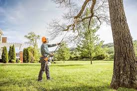Best Tree Risk Assessment  in Tunkhannock, PA
