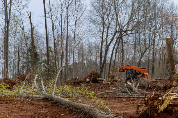 Soil Testing and Treatment in Tunkhannock, PA