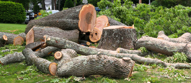 Best Utility Line Clearance  in Tunkhannock, PA